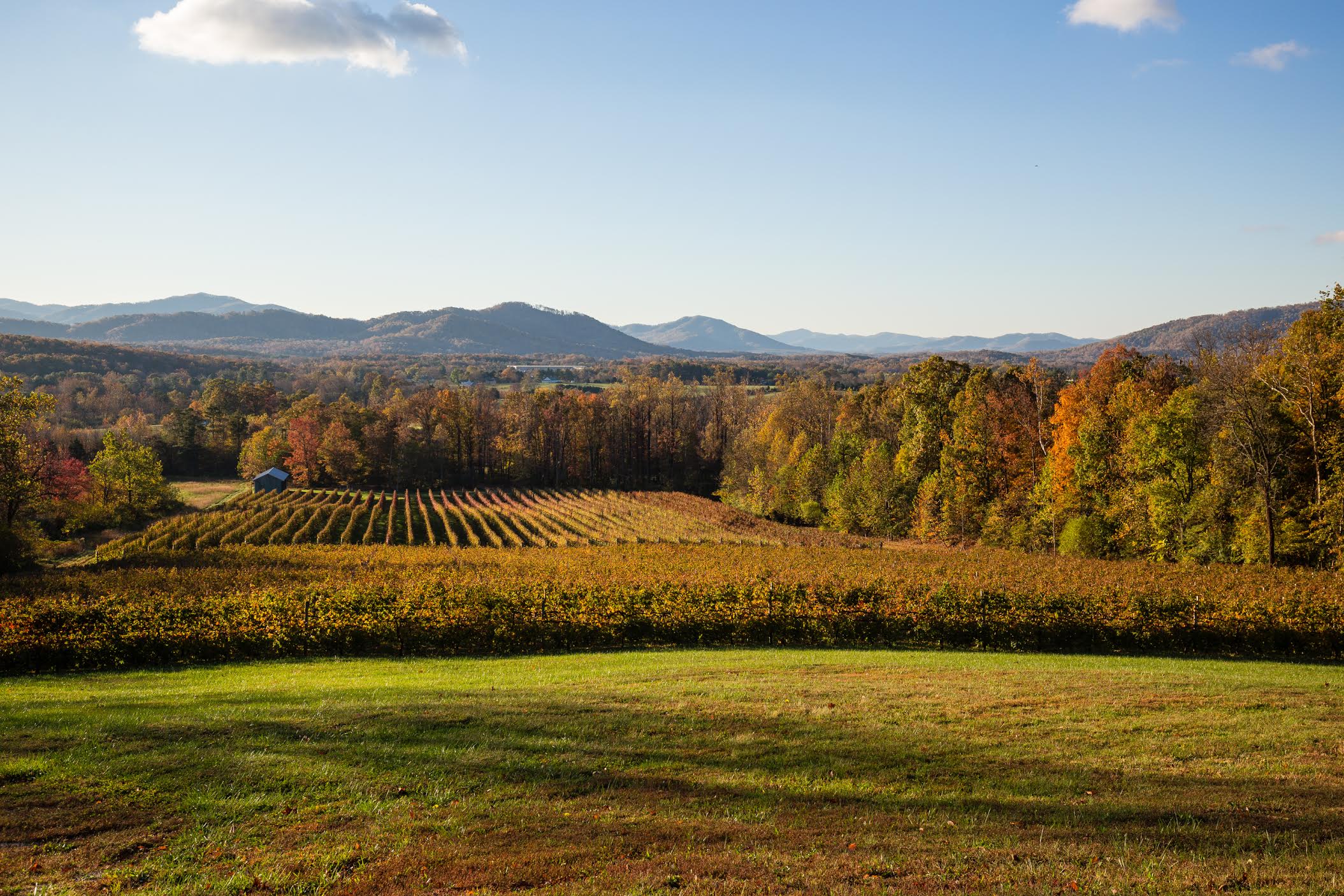 Flying Fox Vineyard & Winery in Nelson County Virgina, Nelson 151