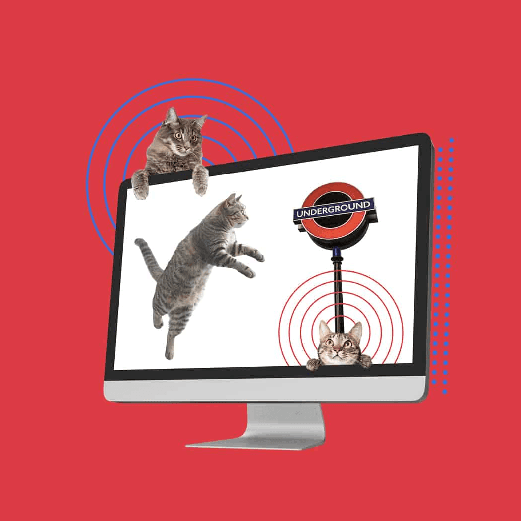 Gatos grises saliendo de una pantalla de computadora con fondo rojo y señal de metro.