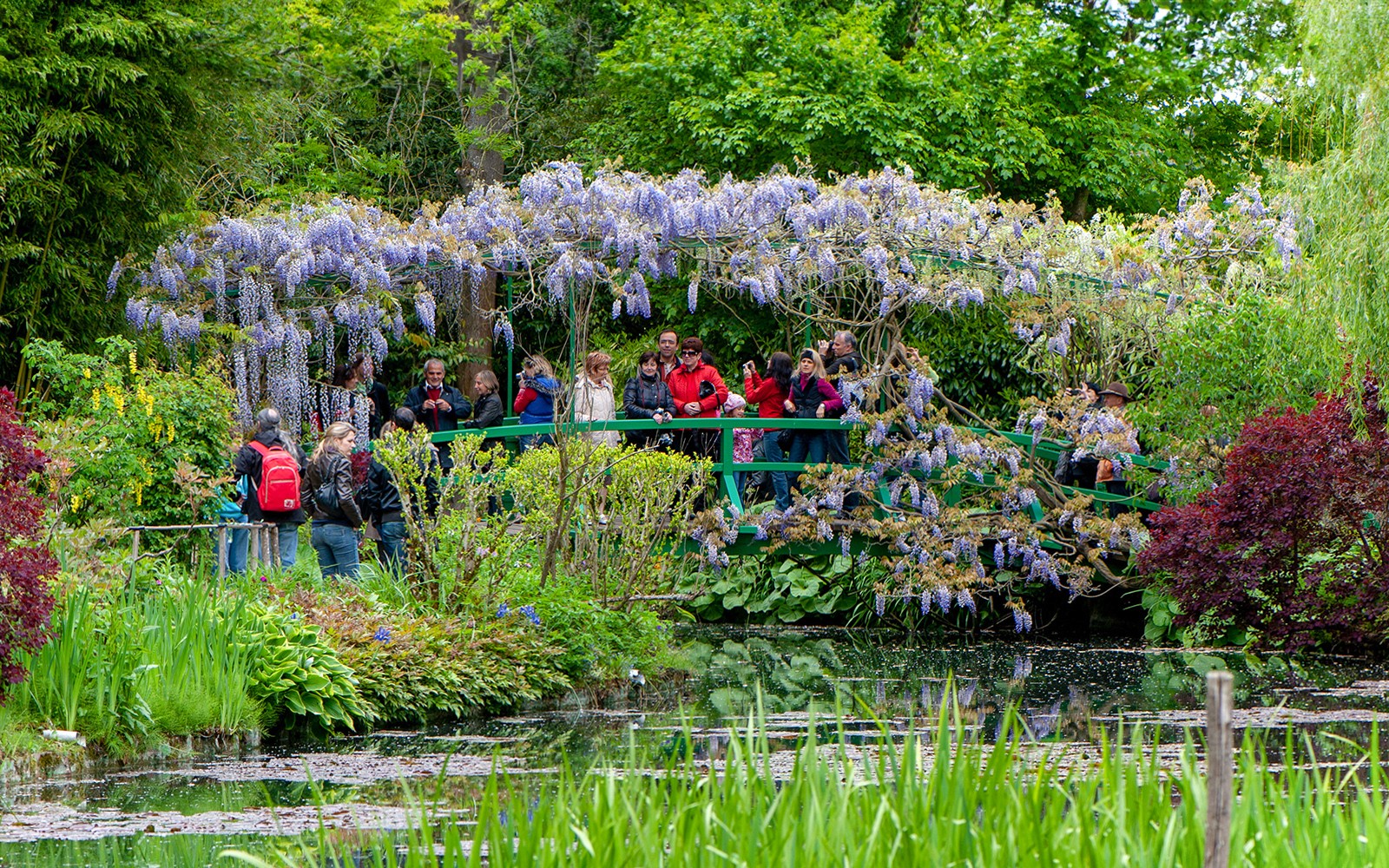 Visitantes sobre un puente en el Jardín de Monet, Giverny, rodeados de glicinia y exuberante vegetación.