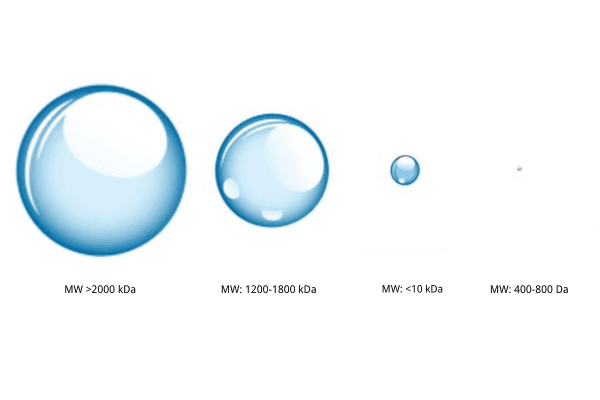 High vs. Low Molecular Weight Hyaluronic Acid Powder