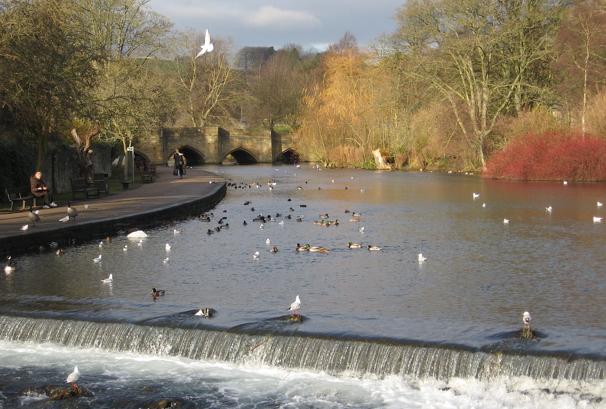 View of riverside park, with five-arch, 13th C. bridge, Bakewell, Derbyshire, England. Photo by Alethe