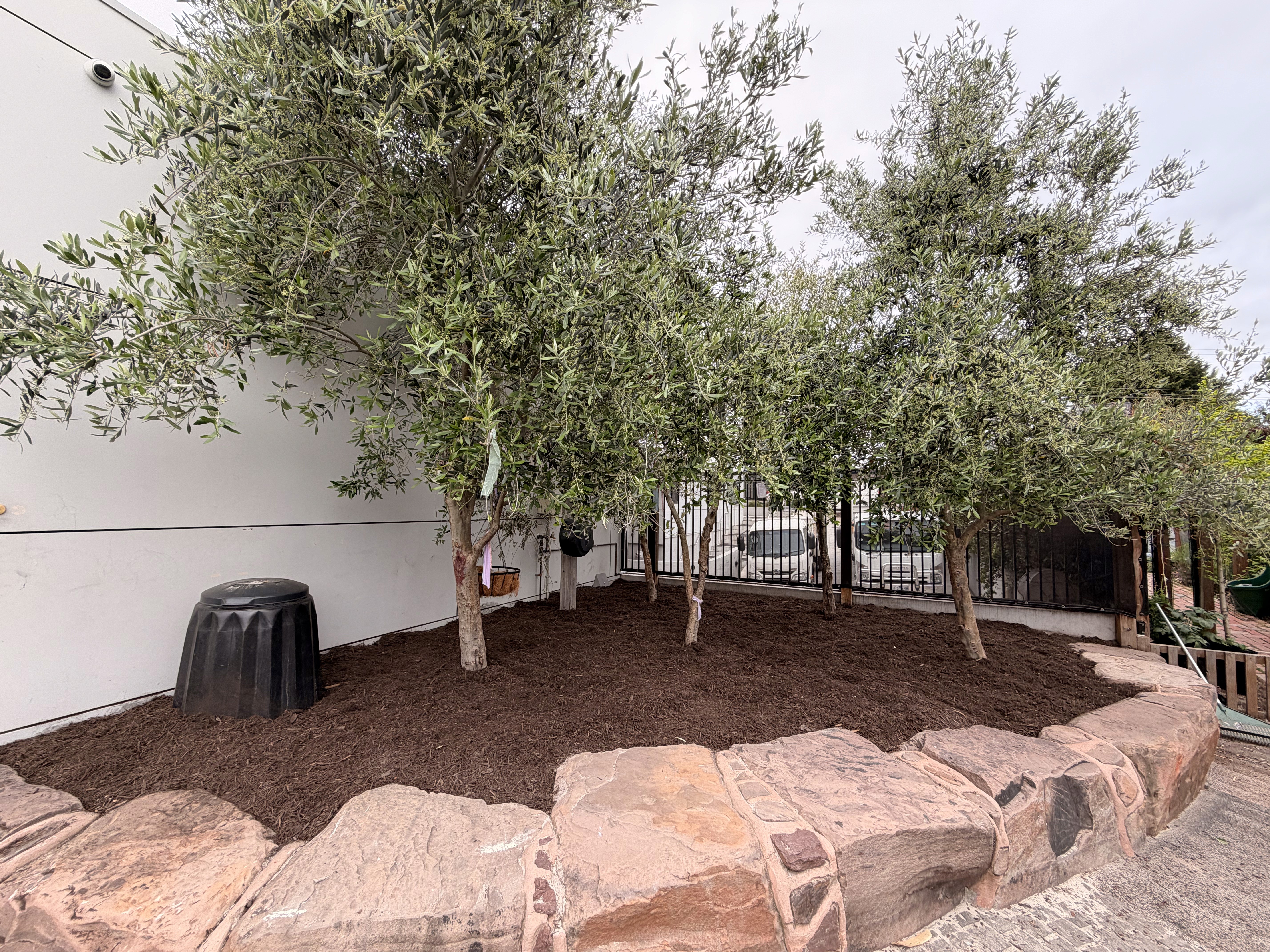 People using laptop and discusing