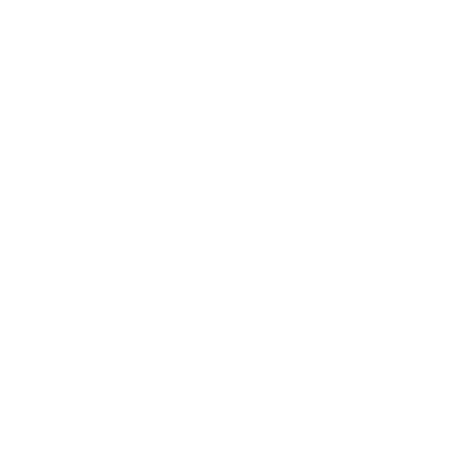 Perform Template Logo