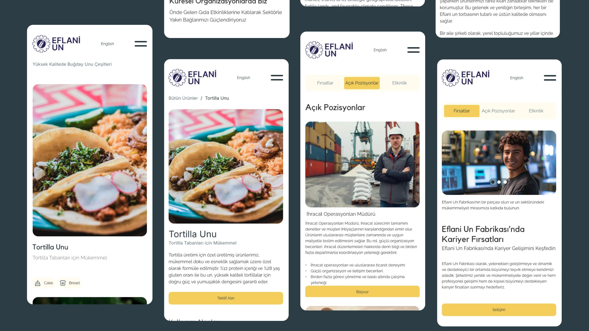 Mobile website showcase 2