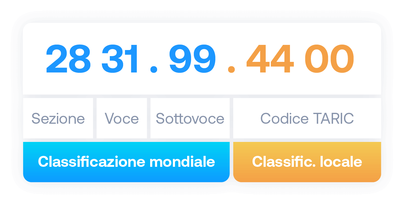 Esempio struttura codice doganale completo