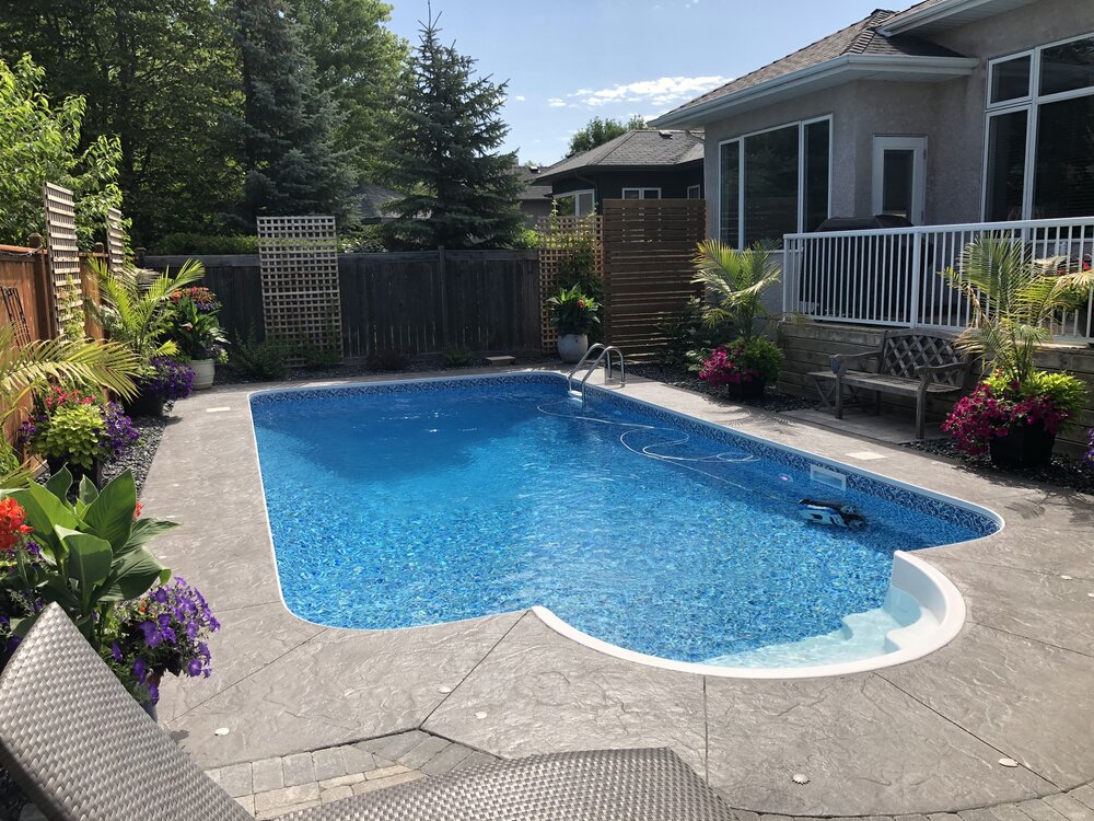 Image of beautifully place tropical plants that strive in Central Florida, Tampa Bay area. Inground pool with curved steps. Conveniently placed in a smaller backyard.