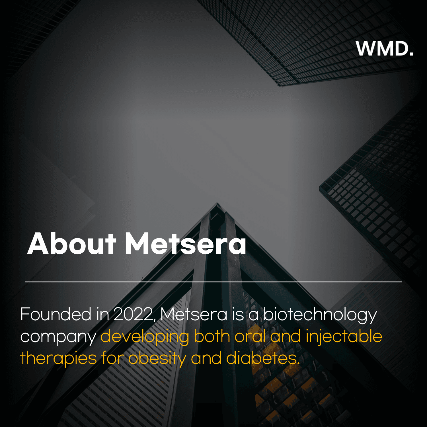WMD card image – About Metsera. Introduces Metsera as a biotech company founded in 2022 developing oral and injectable therapies for obesity and diabetes. Background shows tall city buildings.