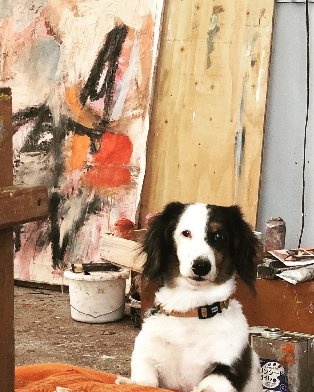 A dog sitting in a room with a painting

Description automatically generated