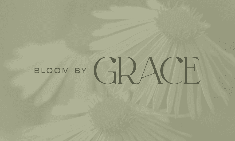 The logo on a background that has faded aster flowers.