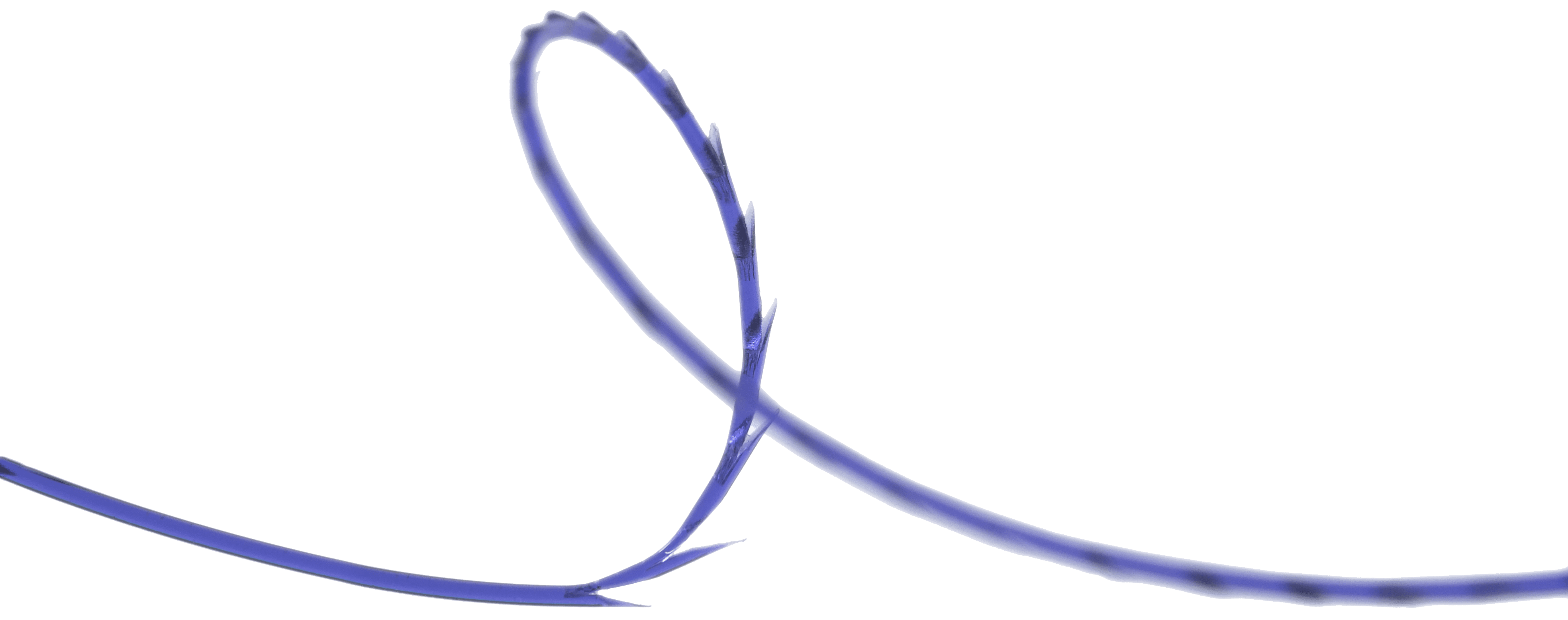 Dettaglio del filo dentato dasutura THD Block