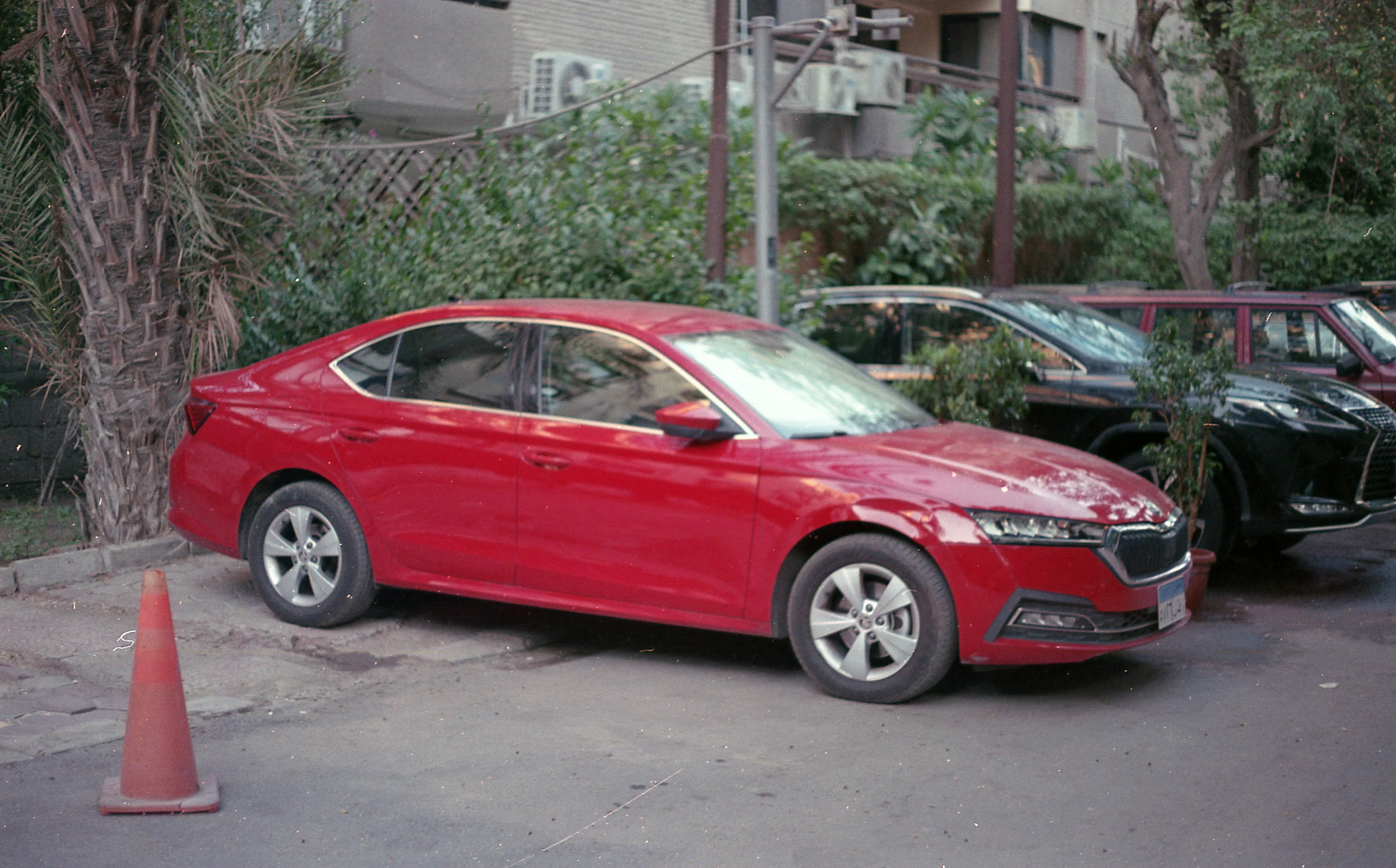 Red Car by the Trees