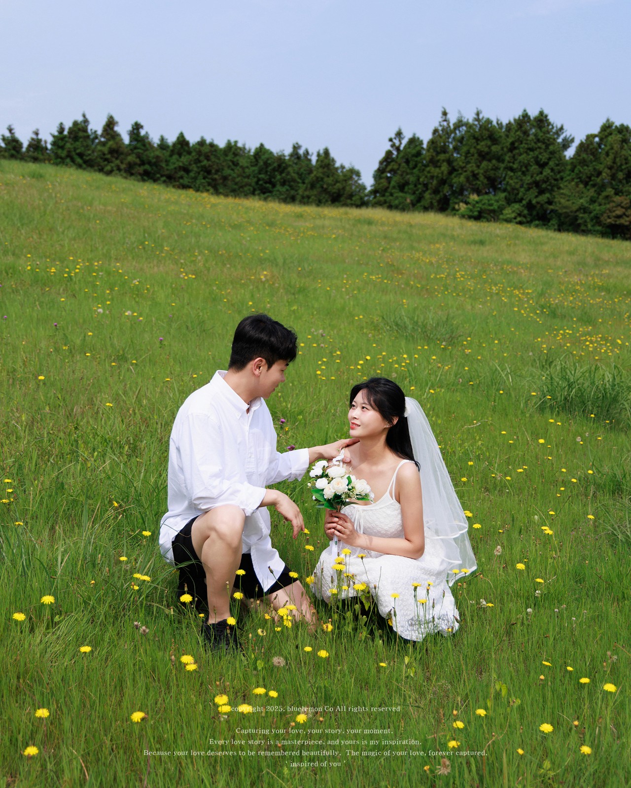 [필름커넥트] 제주 들판 갯무 꽃밭 웨딩스냅 후기 | 작가추천 블루레몬