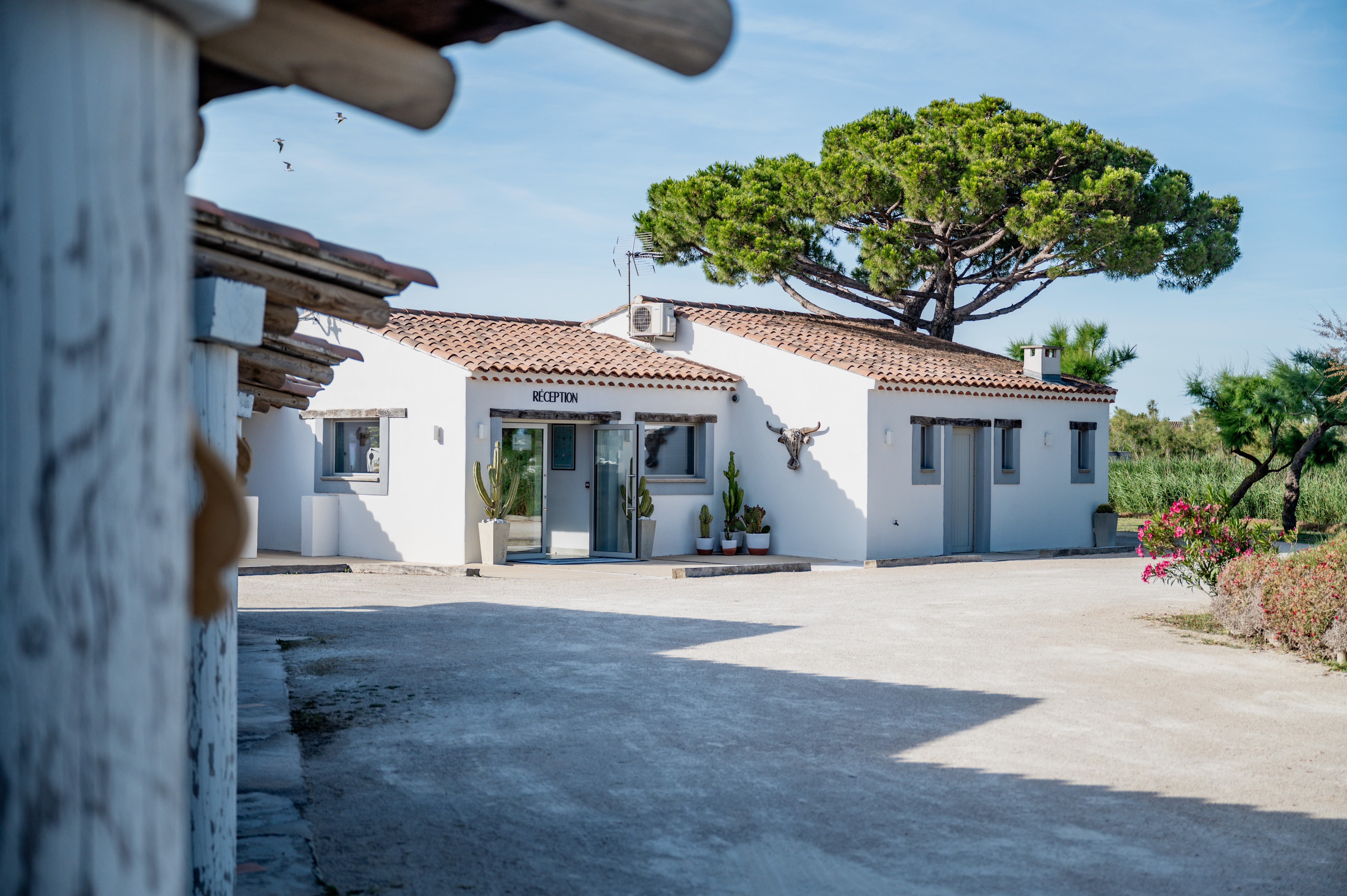 person in swimming pool during daytime