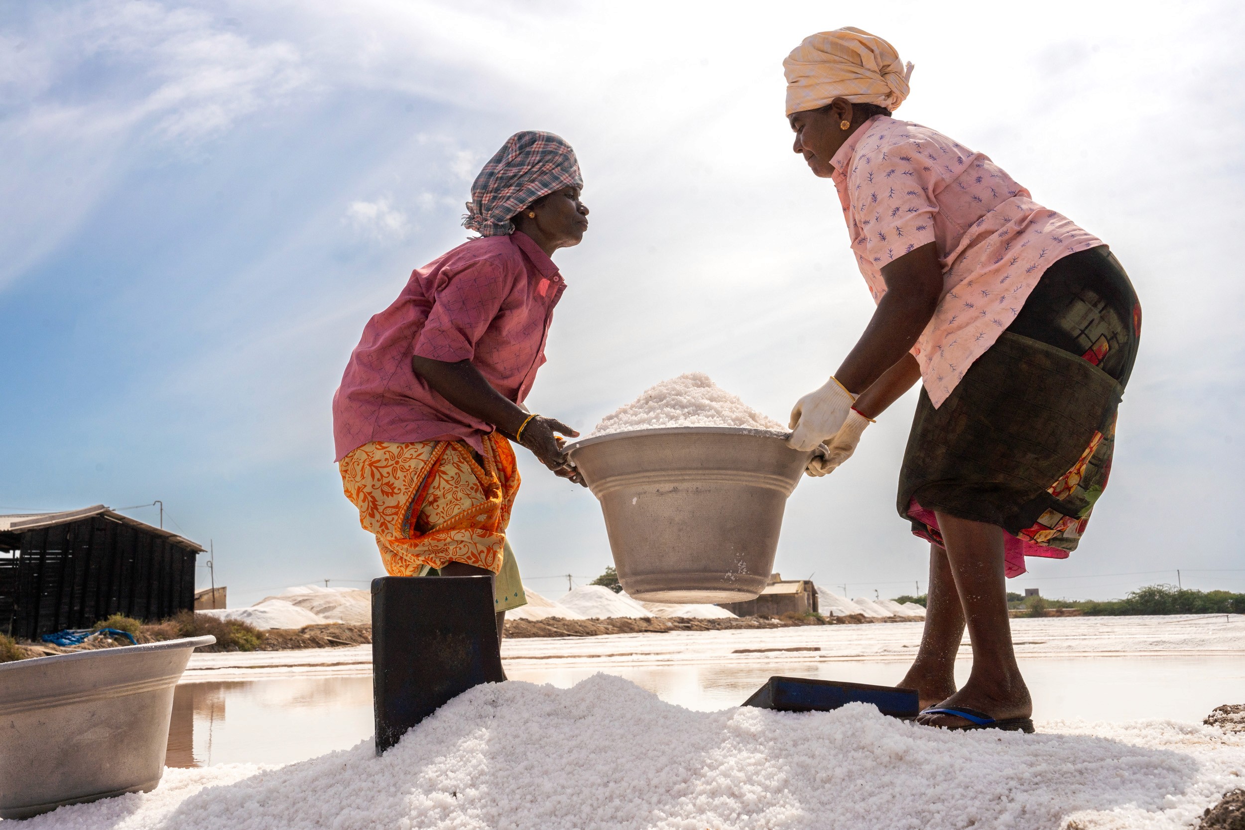 The White Harvest — Extracting the essence of the ocean from the parched earth.