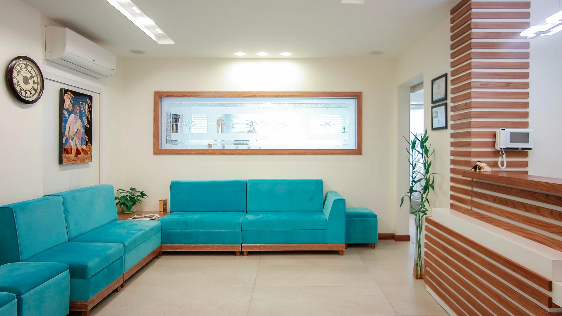 blue couch beside green potted plant