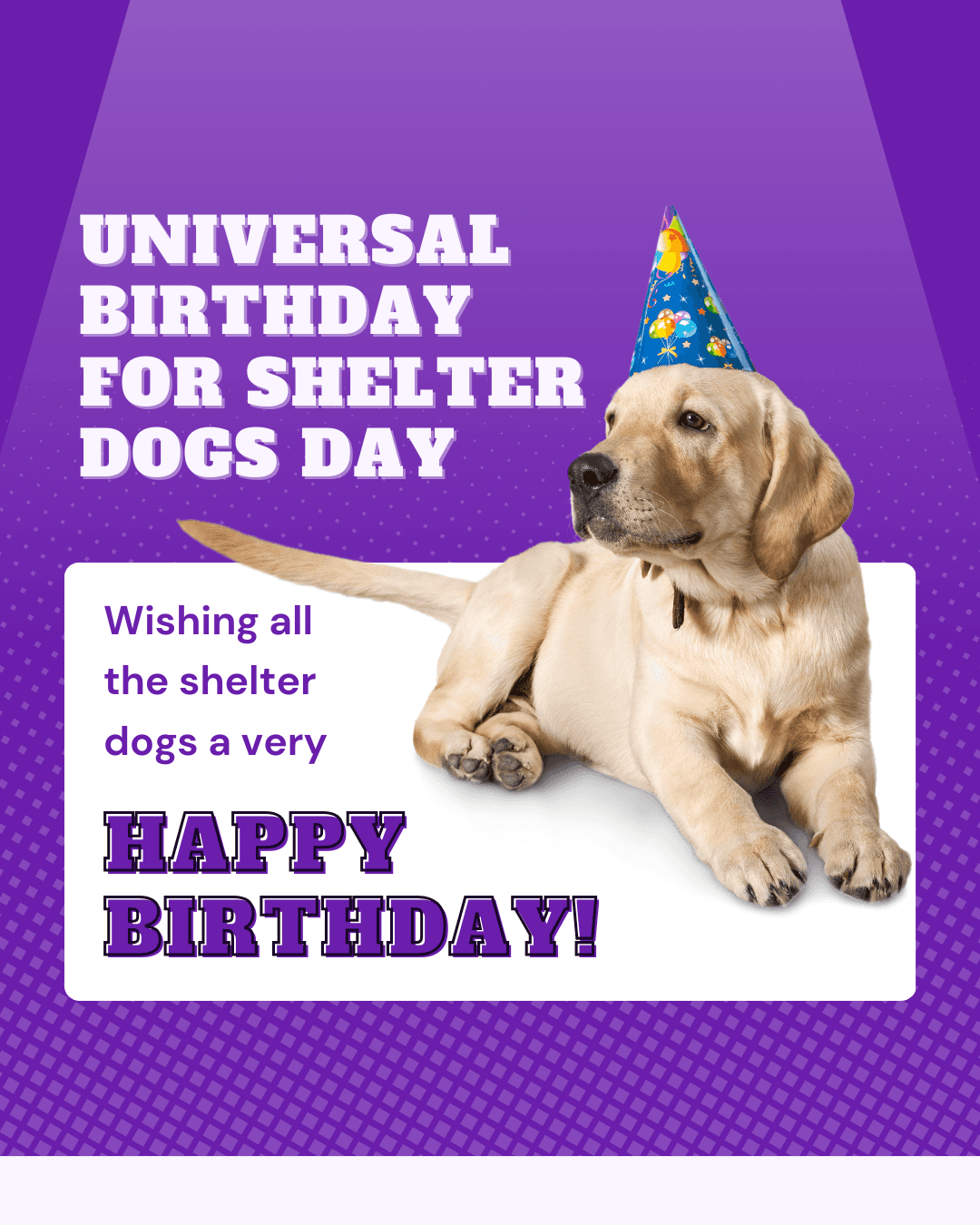 Universal Birthday for Shelter Dogs