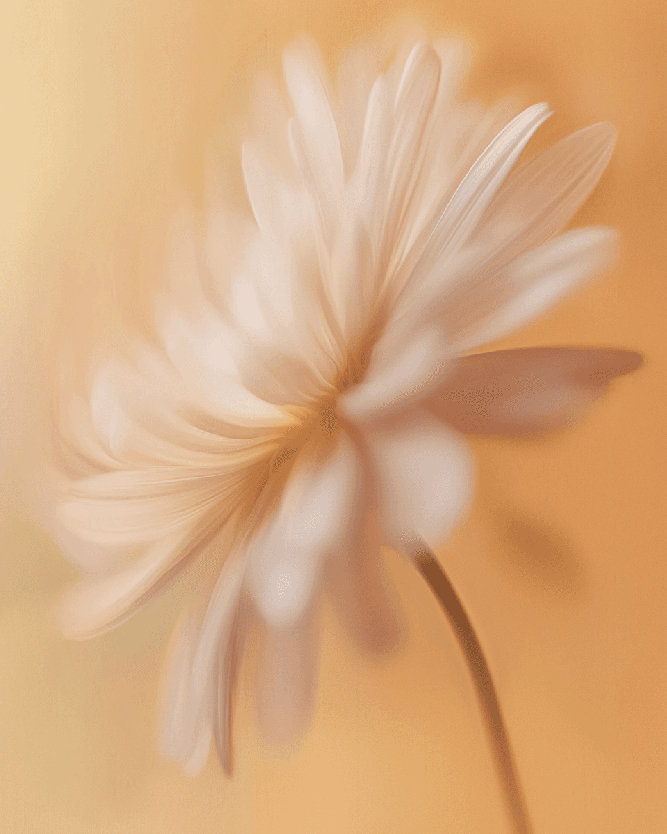 Orange Blurred Flower