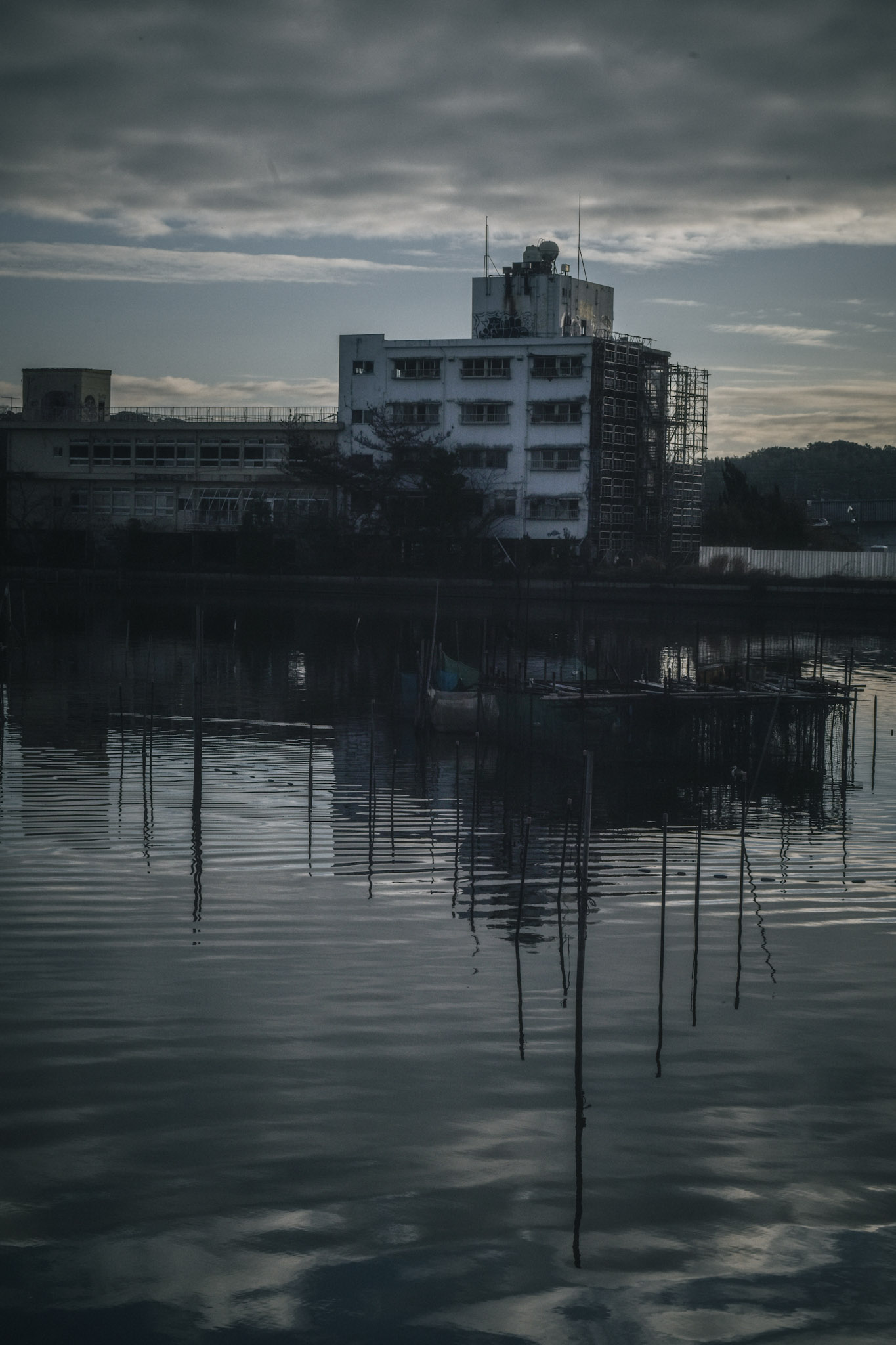 Stakes in the water at dusk