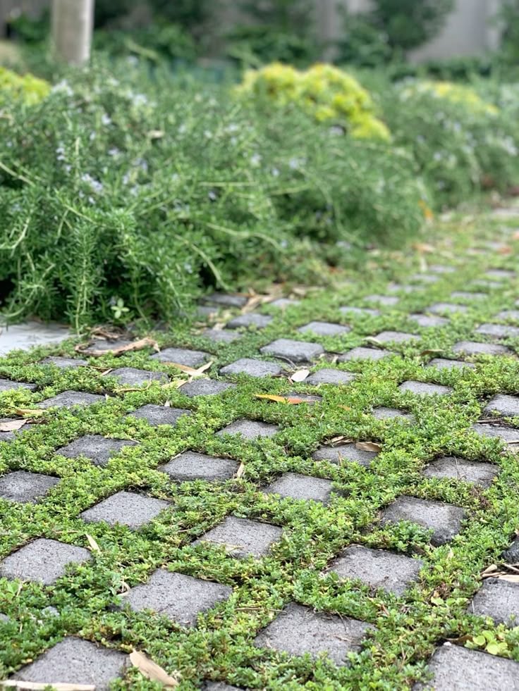Permeable Driveway