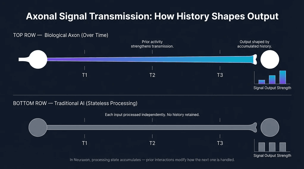 echnical infographic showing how Long-Term Potentiation strengthens axonal signal pathways over time (T1, T2, T3) compared to flat, stateless signal processing in traditional AI
