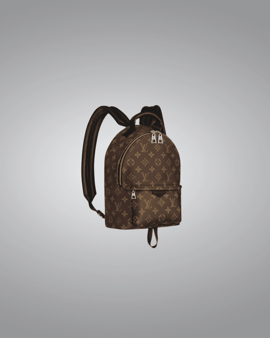 LV Backpack in Monogram Canvas