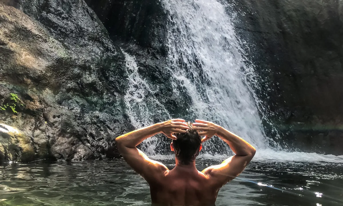 Forest Bathing Benefits: How Nature Improves Your Mental and Physical Health