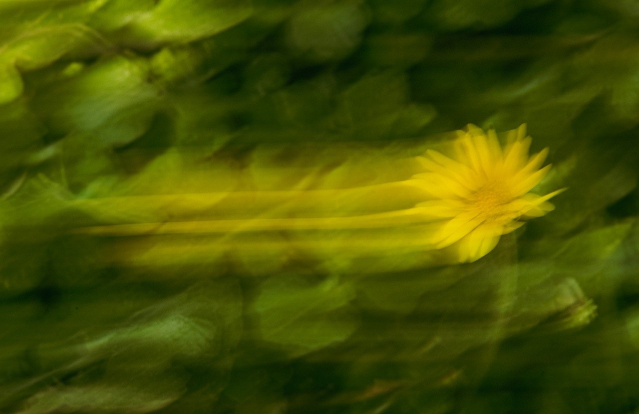 Details Image