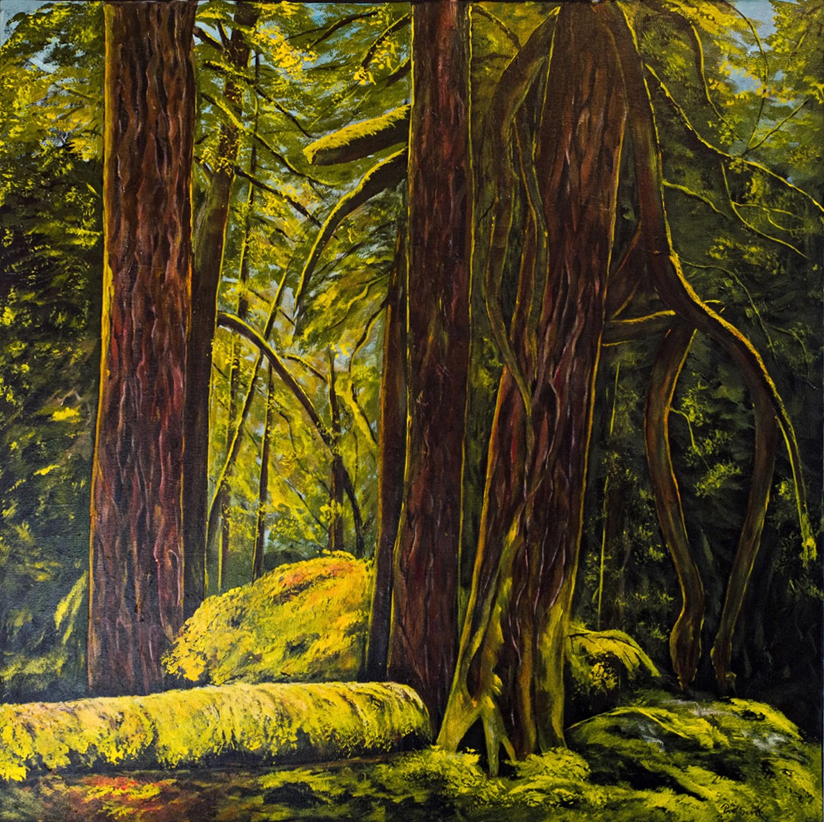 A forest scene reveals stone and a fallen log covered in moss while trees surround, blue sky peaking in from behind the foliage.