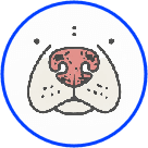 Dog nose illustration
