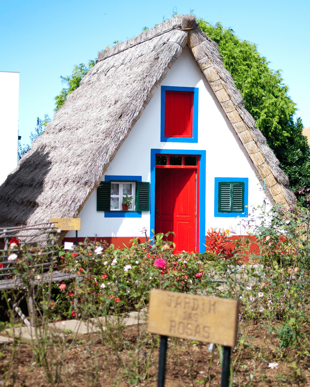A smiling young man with crossed arms, wearing a plaid shirt and white t-shirt, poses against a dark background.