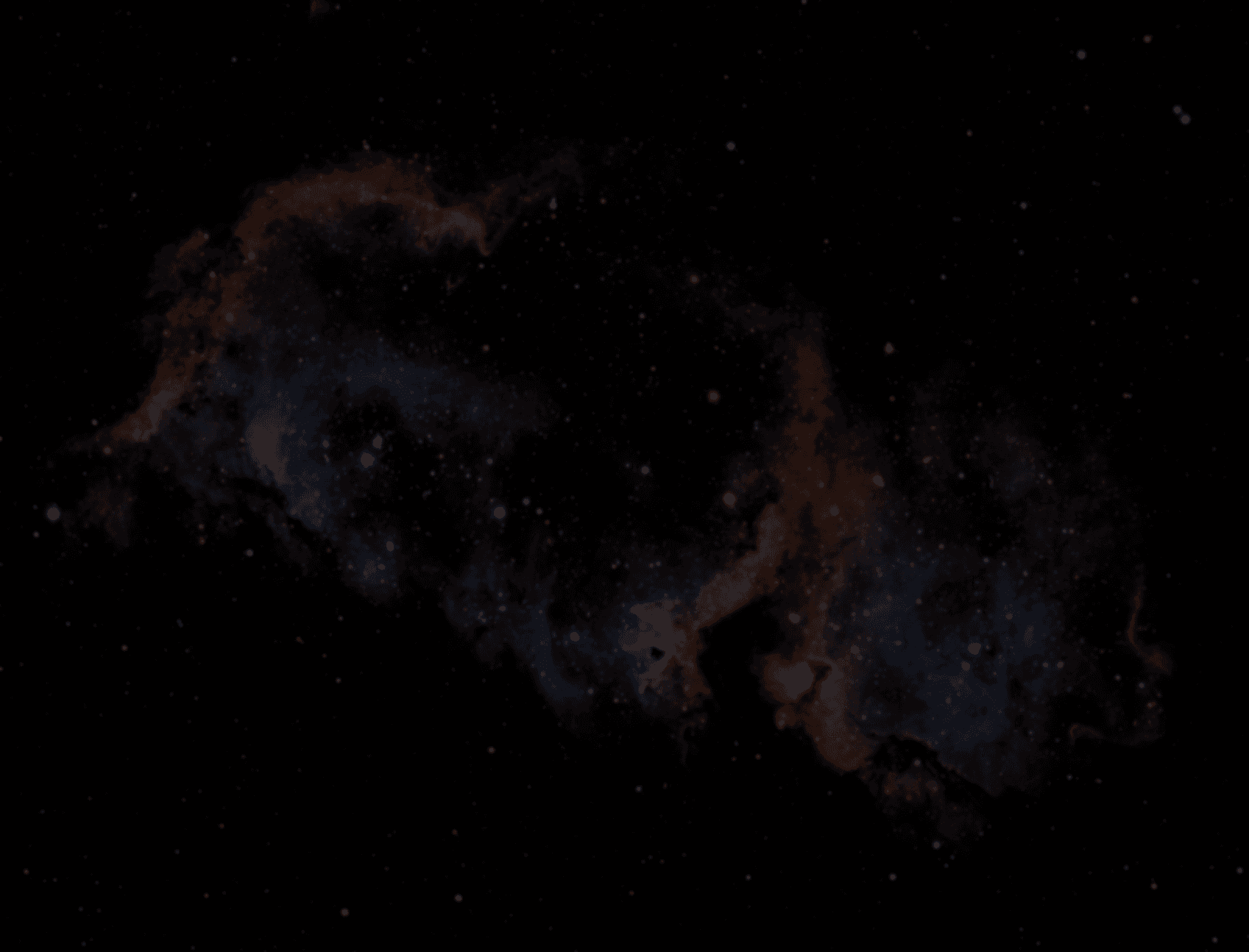 black and brown starry night