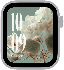 orchard static Apple Watch face preview 3 featuring floral, summer, and spring.