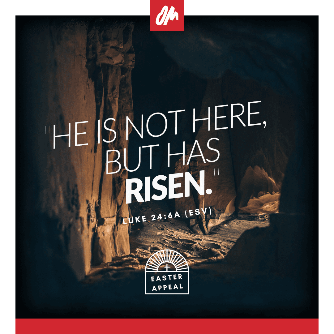 Yellow bowl filled with lemons on bright yellow background for lifestyle branding