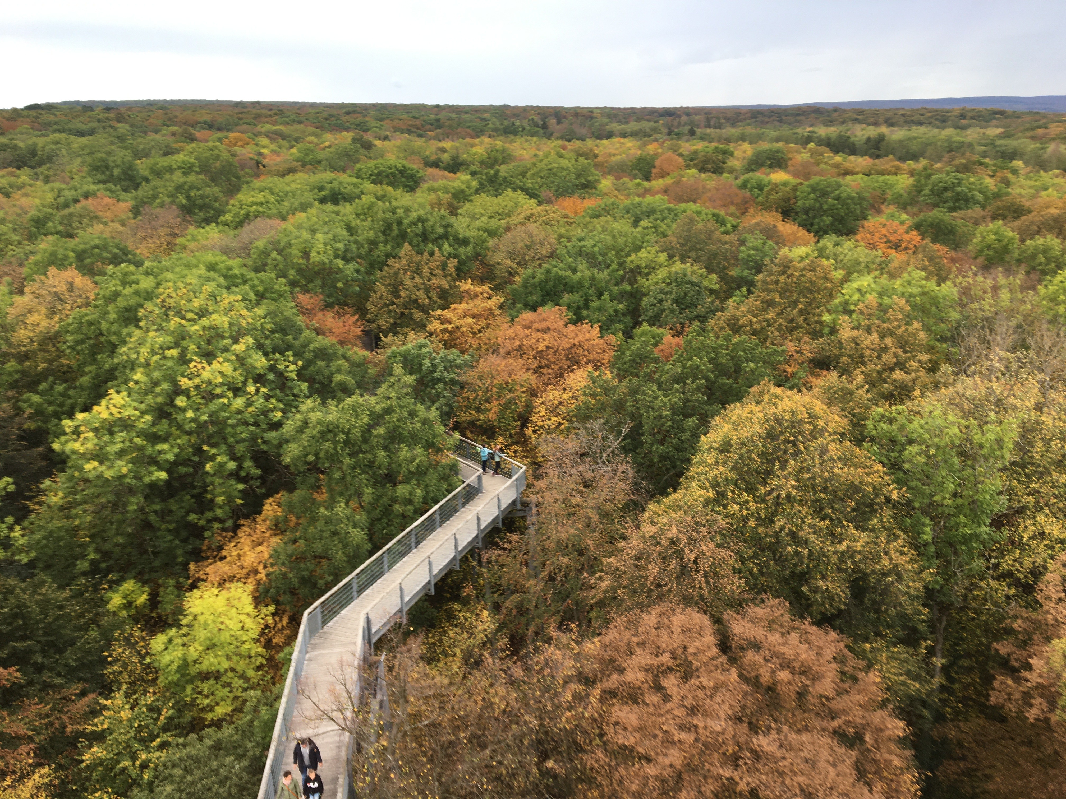 a group of people walking on a sidewalk