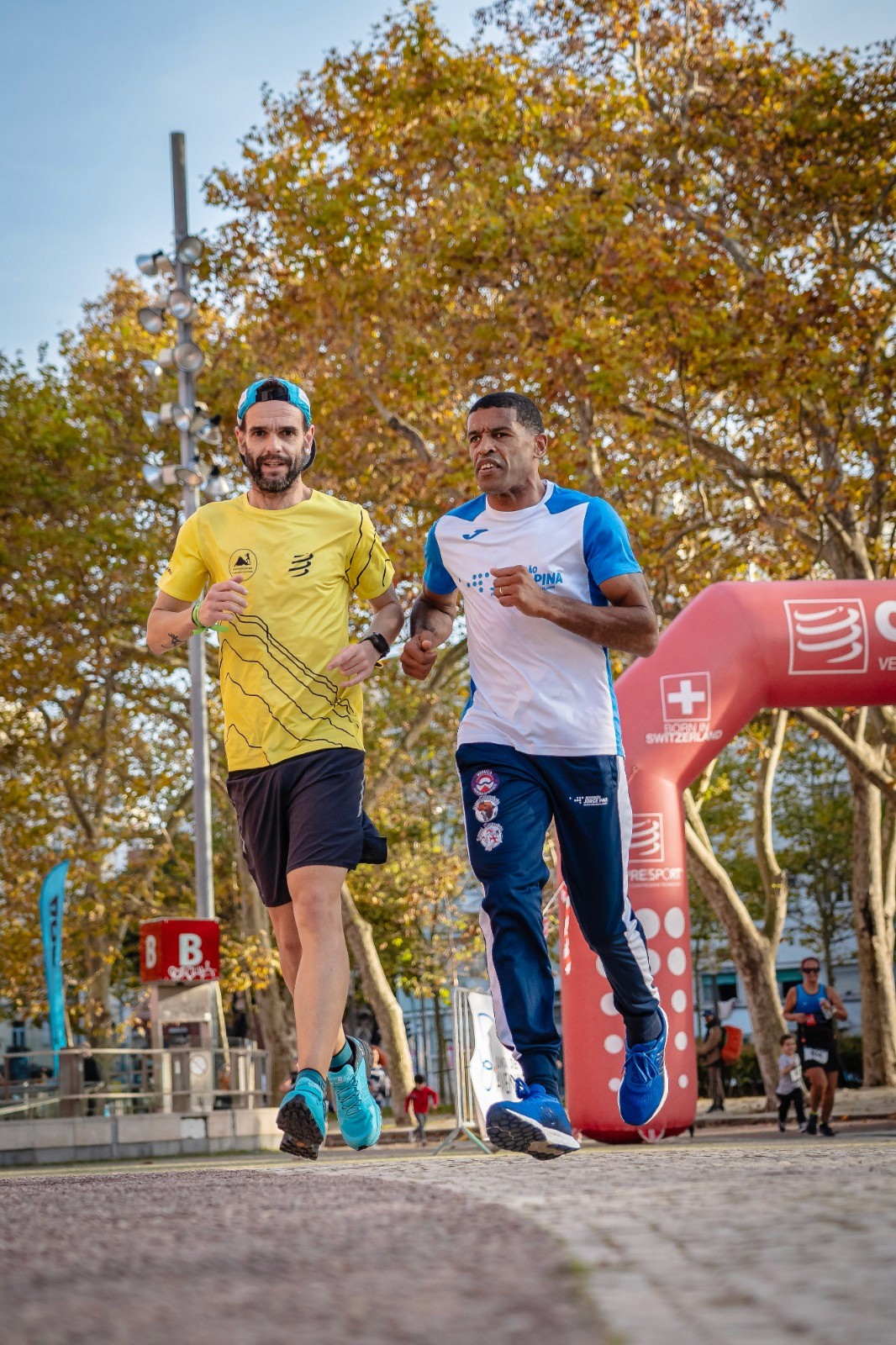 Green glass-metallic background with statistic cards