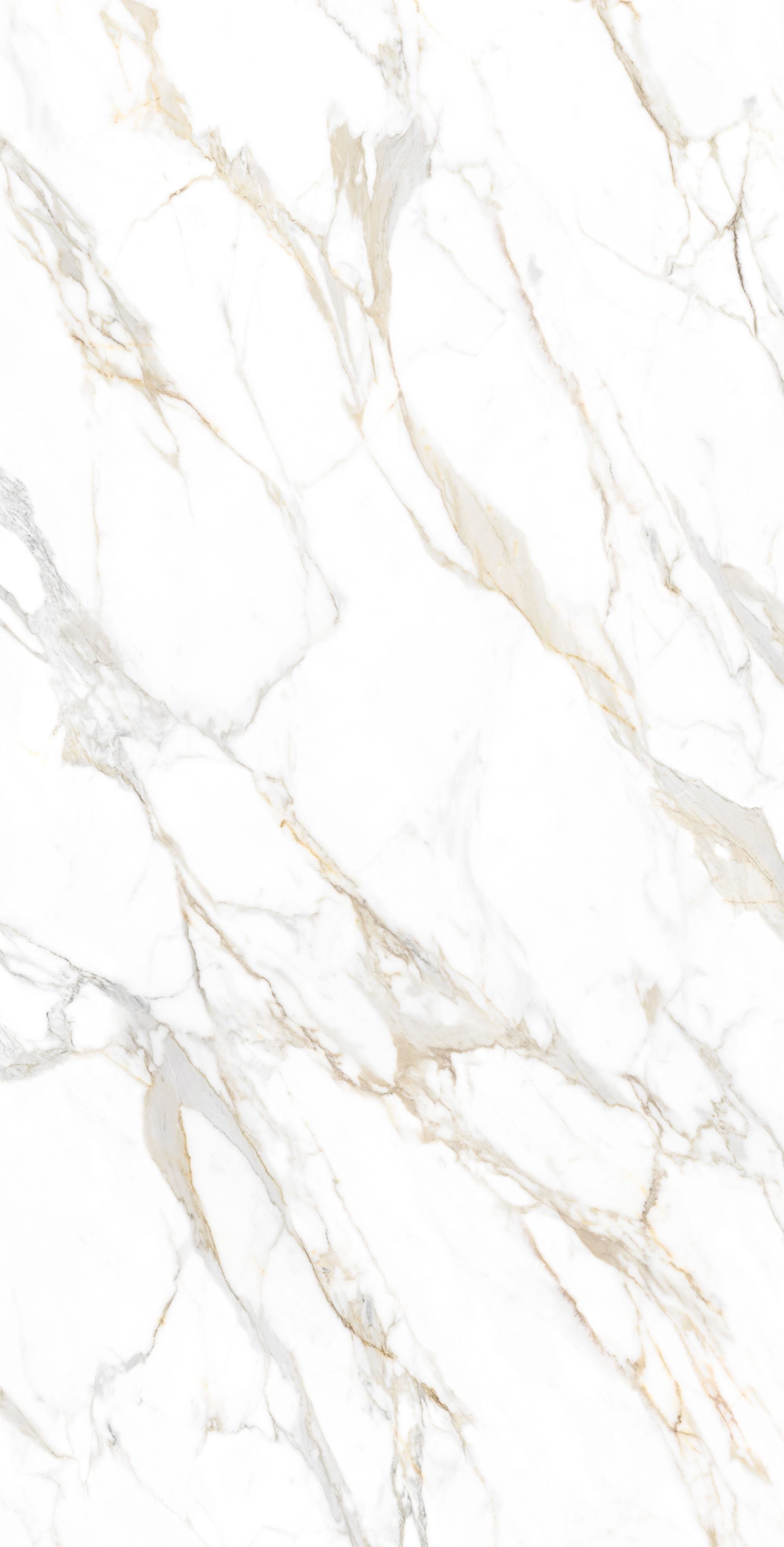 Modern living room with large windows and comfortable seating