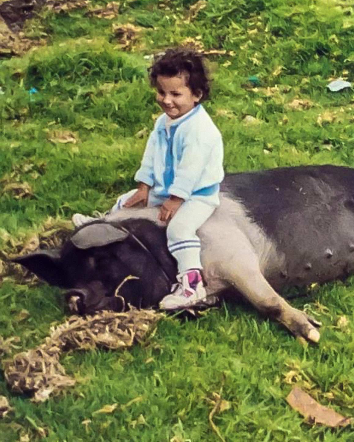 niña subida encima de un cerdo acostado en el césped