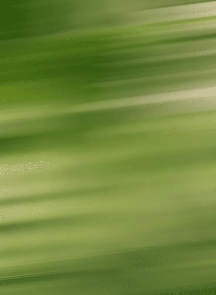 Gradient Yellow, Green and white