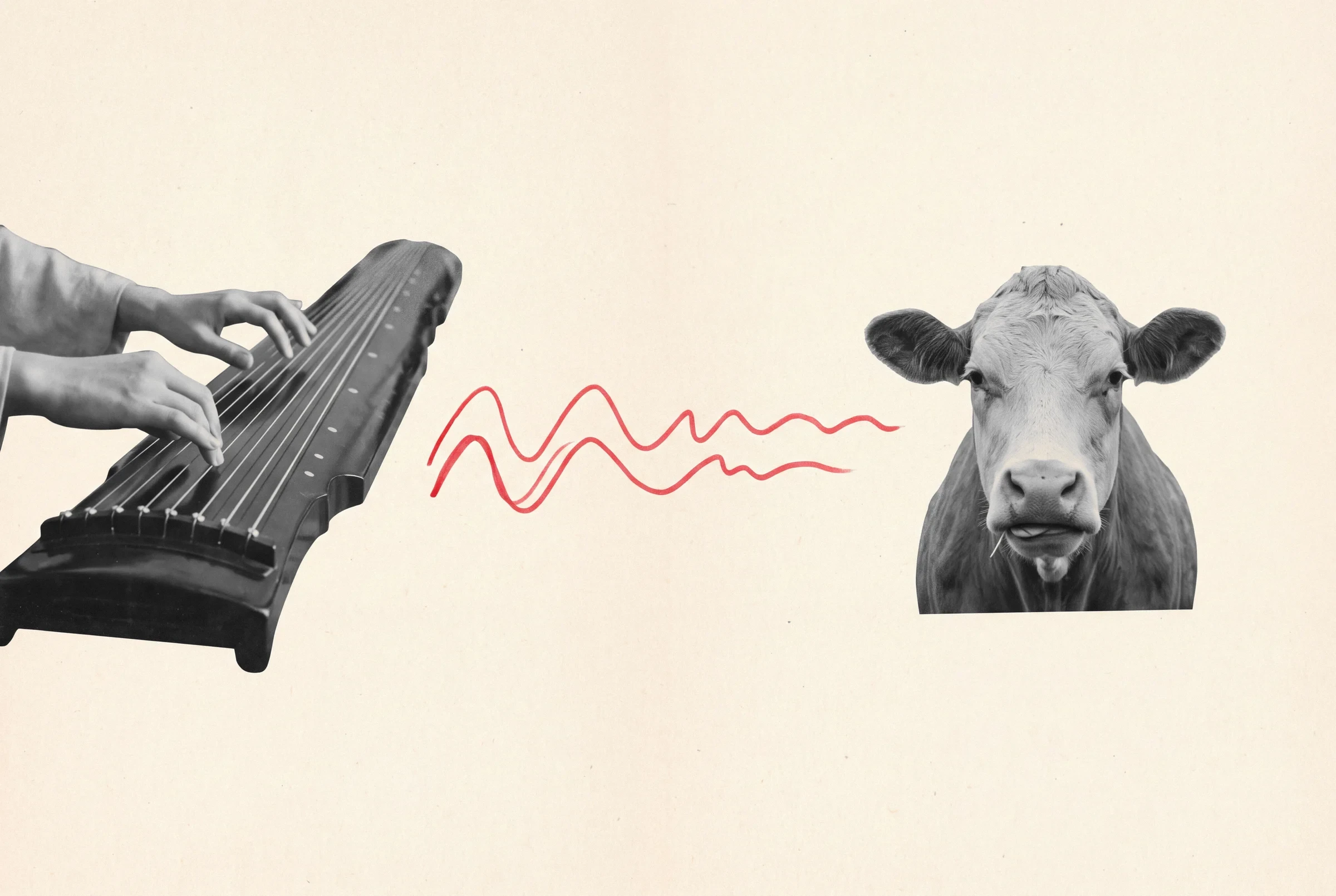 A black-and-white cut-out of hands playing a guqin zither, with two red squiggles of music drifting towards a cow who stares back, unimpressed and chewing.