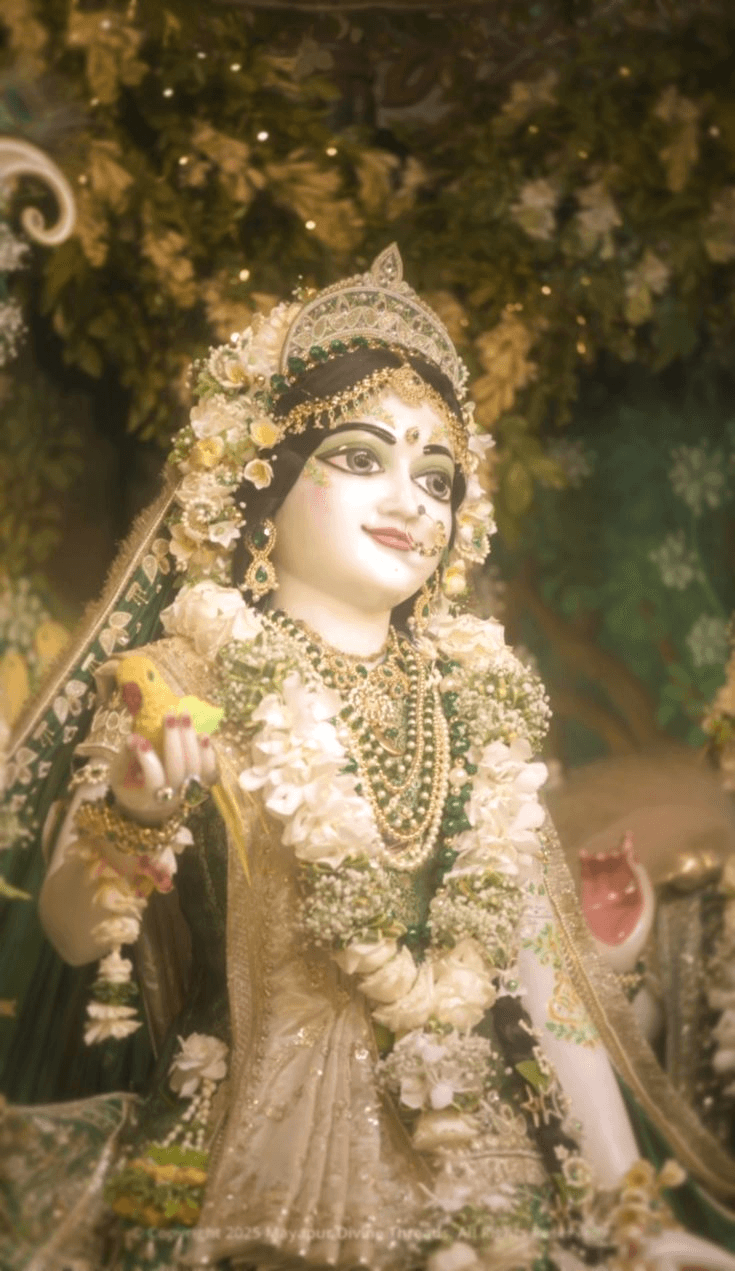 Radha Ju's Vigrah