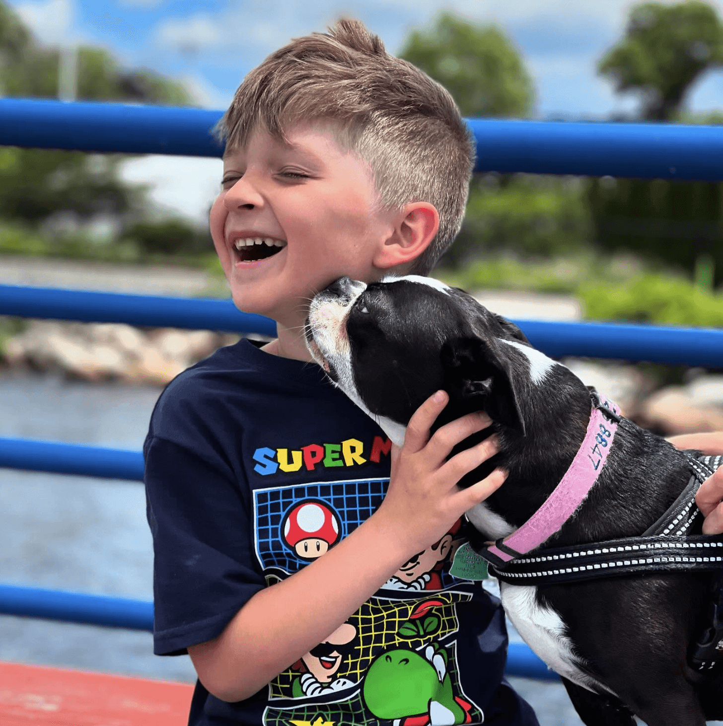 Dog liking a boys chin and boy laughing