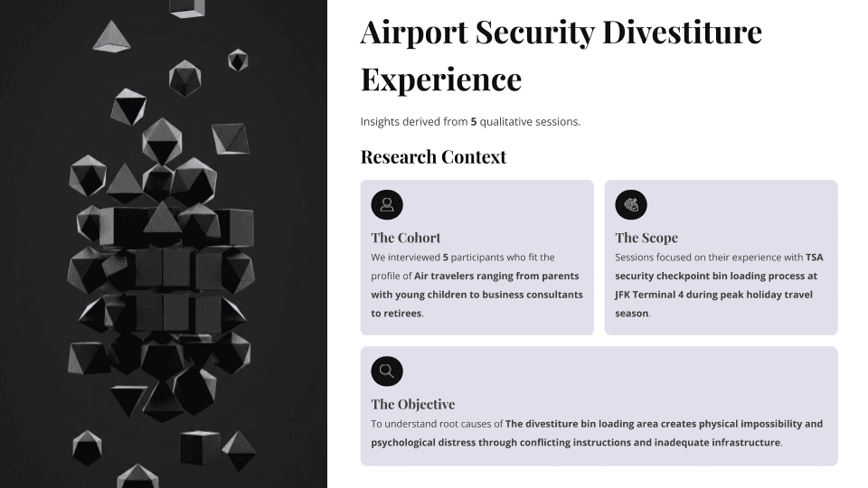 Airport Security Experience