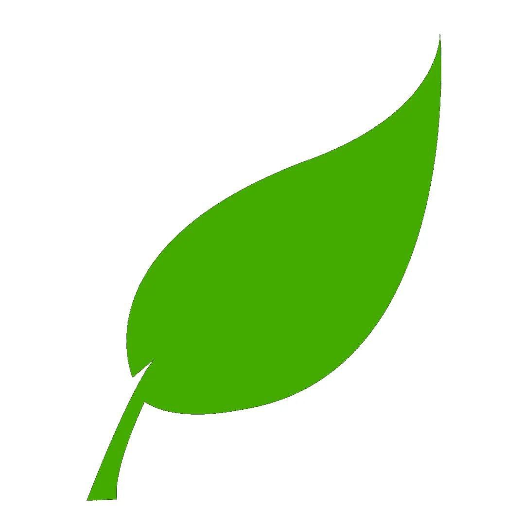 Reviewer Avatar