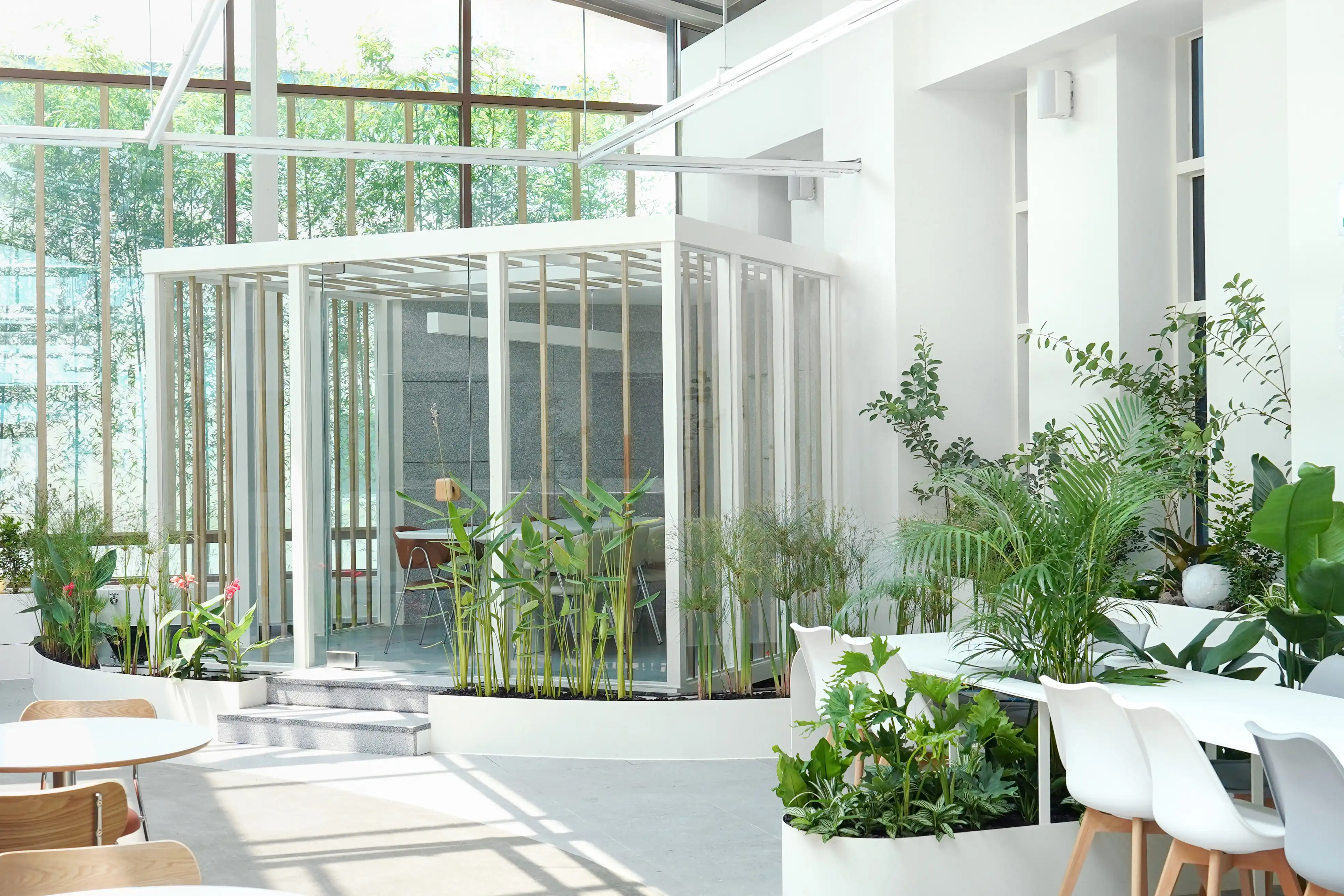 에코피플 실내조경 프로젝트