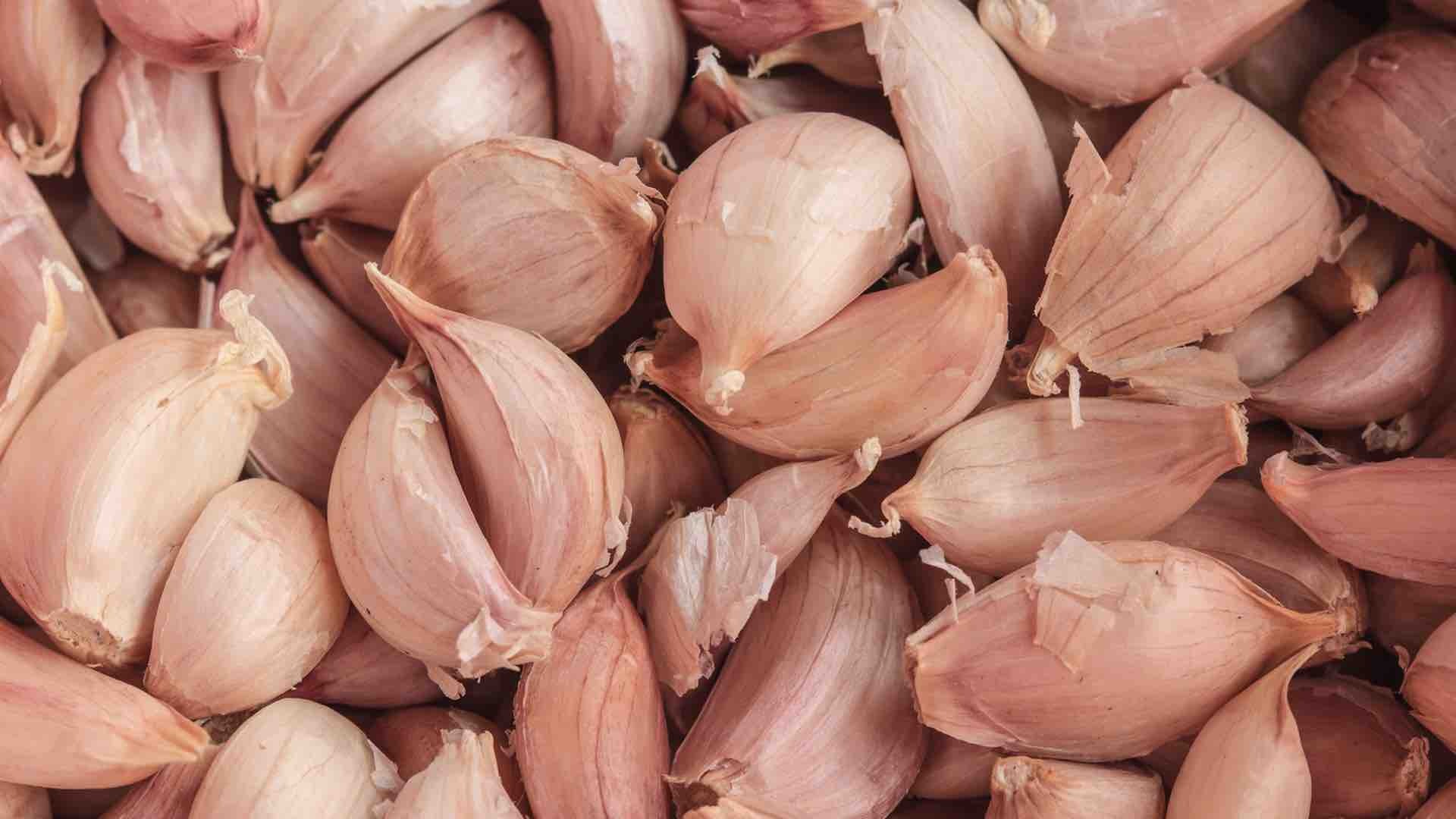 garlic cloves