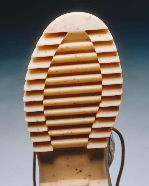 Shoe