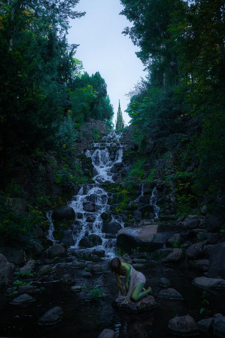 Narcissus