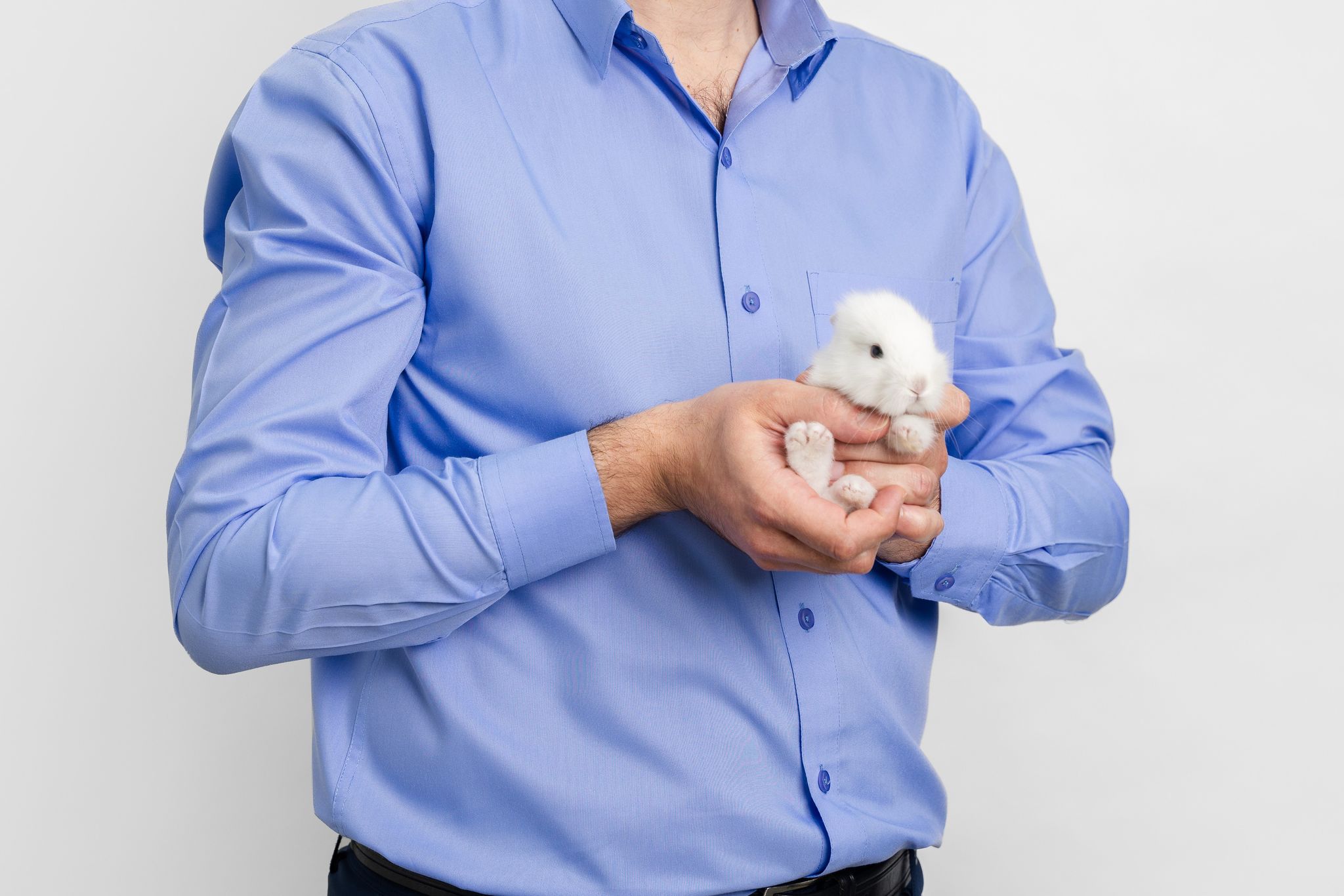 Factors Affecting A Pet Rabbit’s Life