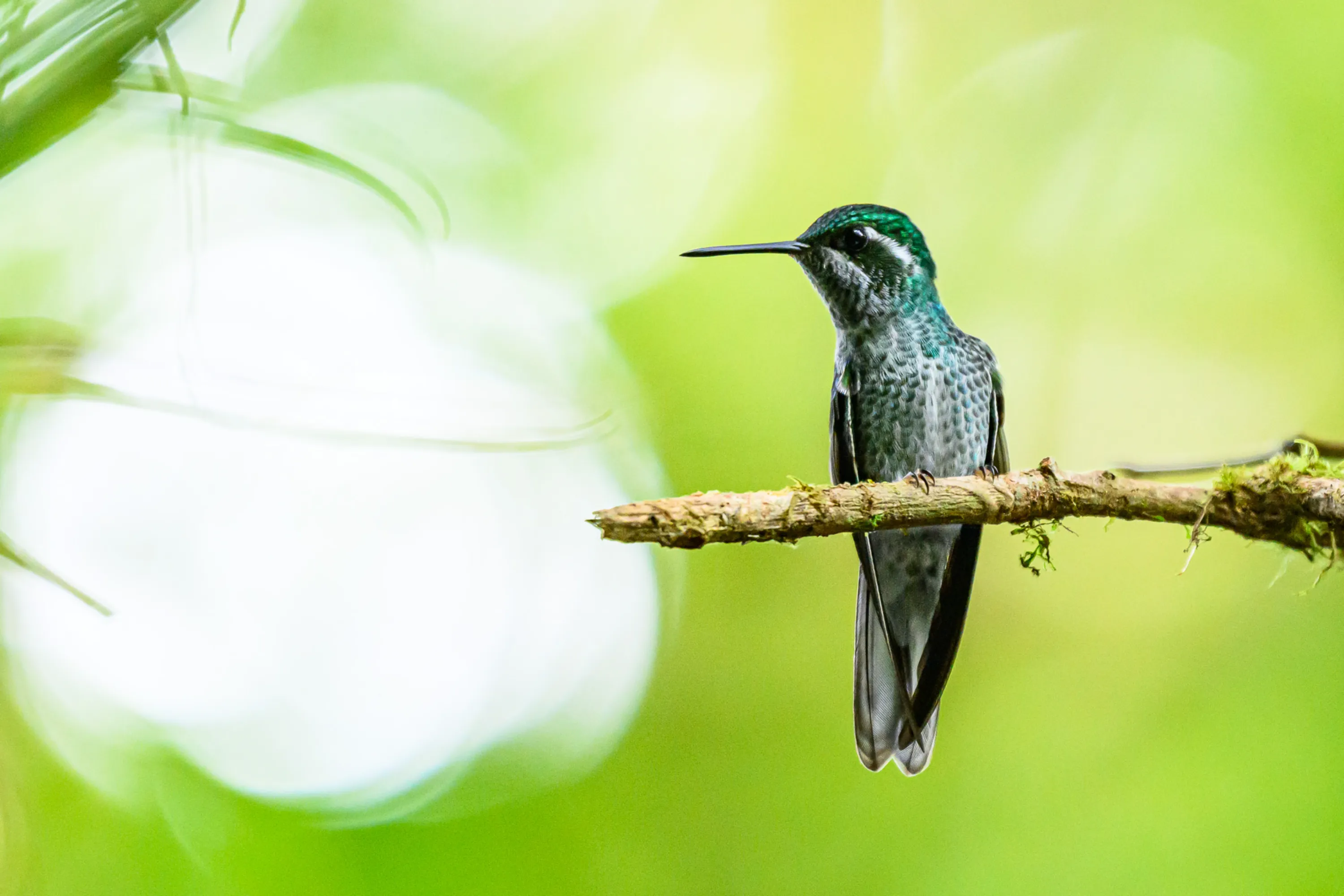 Wilderness & Wildlife 07