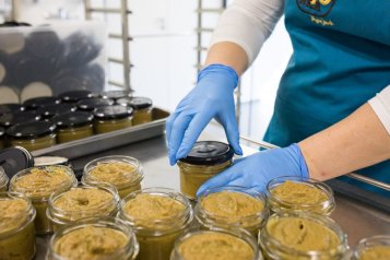 Amelia photographing